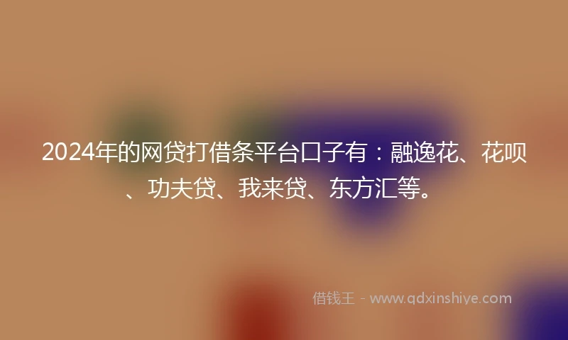 2024年的网贷打借条平台口子有：融逸花、花呗、功夫贷、我来贷、东方汇等。