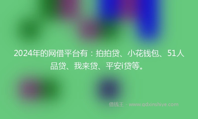 2024年的网借平台有：拍拍贷、小花钱包、51人品贷、我来贷、平安i贷等。