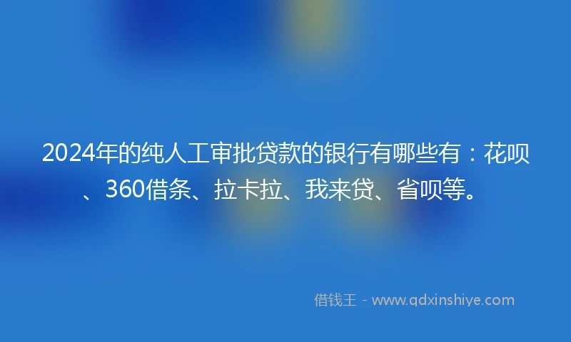 2024年的纯人工审批贷款的银行有哪些有：花呗、360借条、拉卡拉、我来贷、省呗等。