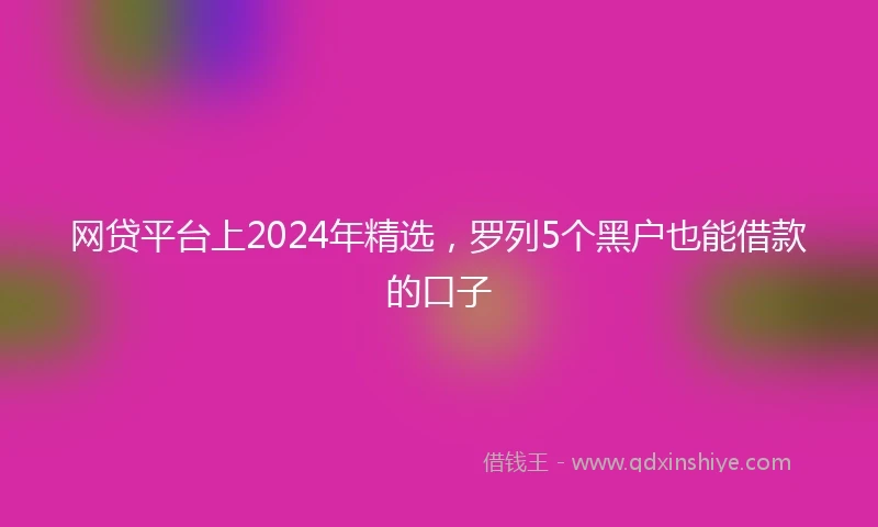 网贷平台上2024年精选，罗列5个黑户也能借款的口子