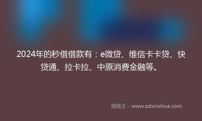 2024年的秒借借款有：e微贷、维信卡卡贷、快贷通、拉卡拉、中原消费金融等。