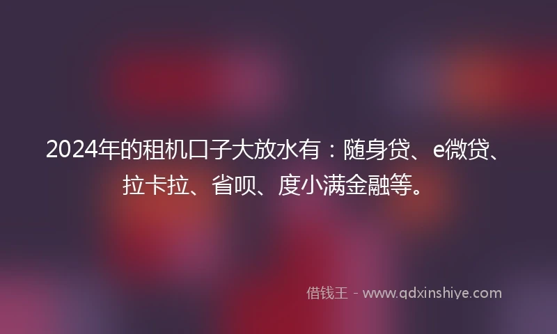 2024年的租机口子大放水有：随身贷、e微贷、拉卡拉、省呗、度小满金融等。
