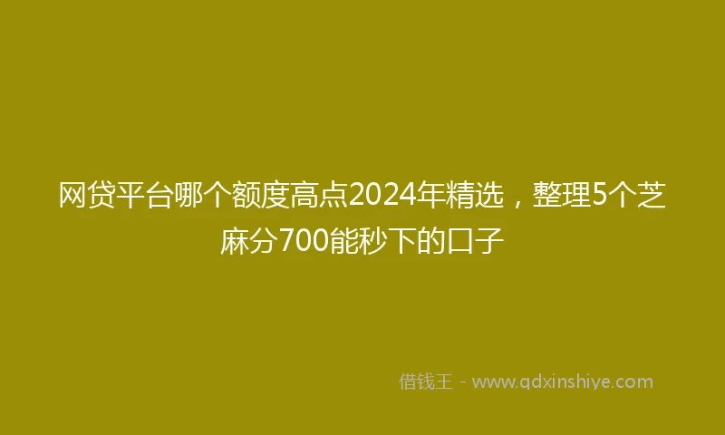 网贷平台哪个额度高点2024年精选，整理5个芝麻分700能秒下的口子