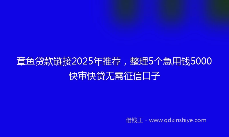 章鱼贷款链接2025年推荐，整理5个急用钱5000快审快贷无需征信口子