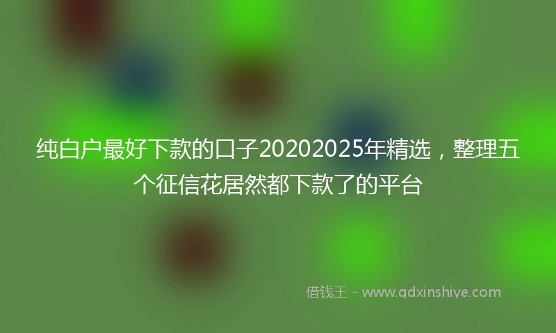 纯白户最好下款的口子20202025年精选，整理五个征信花居然都下款了的平台