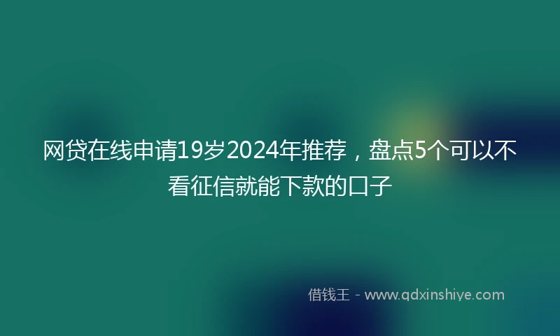 网贷在线申请19岁2024年推荐，盘点5个可以不看征信就能下款的口子