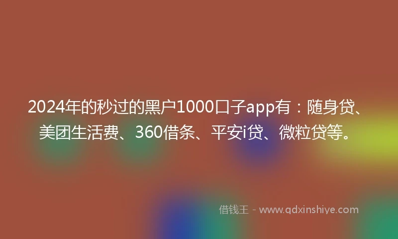 2024年的秒过的黑户1000口子app有：随身贷、美团生活费、360借条、平安i贷、微粒贷等。