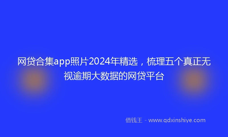 网贷合集app照片2024年精选,梳理五个真正无视逾期大数据的网贷平台