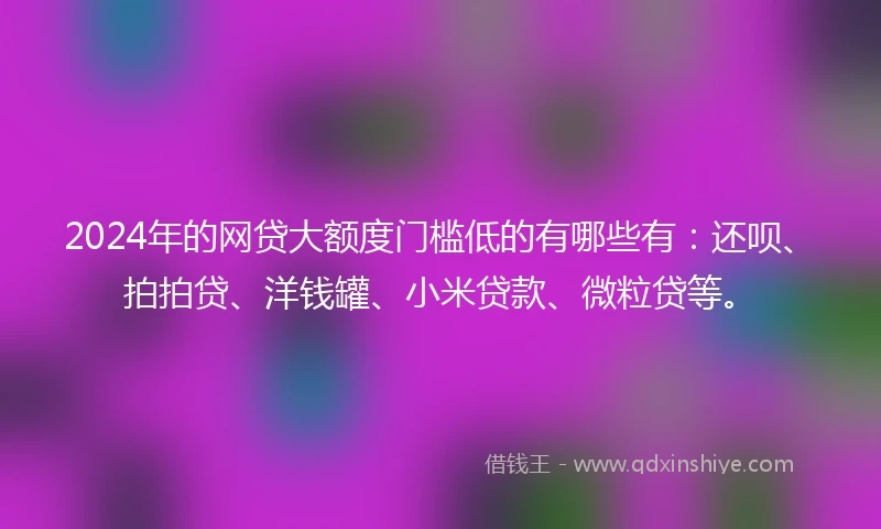 2024年的网贷大额度门槛低的有哪些有：还呗、拍拍贷、洋钱罐、小米贷款、微粒贷等。