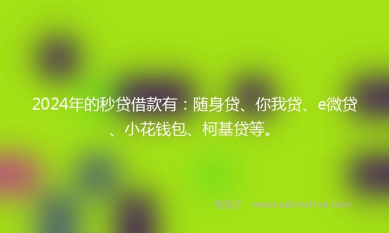 2024年的秒贷借款有：随身贷、你我贷、e微贷、小花钱包、柯基贷等。