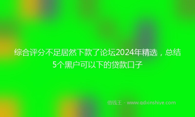 综合评分不足居然下款了论坛2024年精选，总结5个黑户可以下的贷款口子
