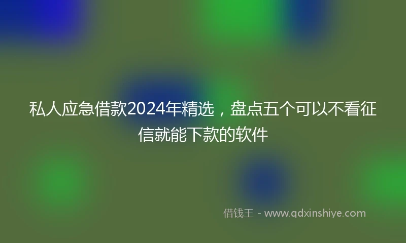私人应急借款2024年精选，盘点五个可以不看征信就能下款的软件