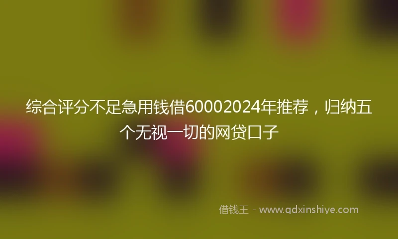 综合评分不足急用钱借60002024年推荐，归纳五个无视一切的网贷口子