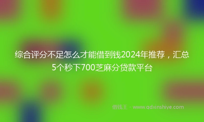 综合评分不足怎么才能借到钱2024年推荐，汇总5个秒下700芝麻分贷款平台