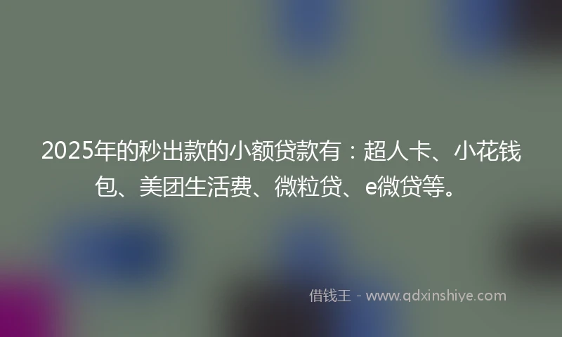 2025年的秒出款的小额贷款有：超人卡、小花钱包、美团生活费、微粒贷、e微贷等。