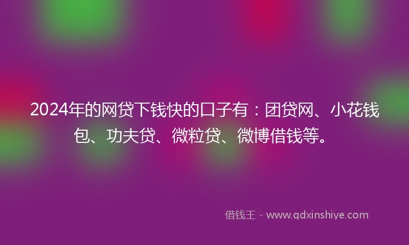 2024年的网贷下钱快的口子有：团贷网、小花钱包、功夫贷、微粒贷、微博借钱等。