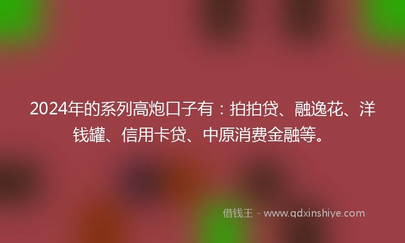2024年的系列高炮口子有：拍拍贷、融逸花、洋钱罐、信用卡贷、中原消费金融等。