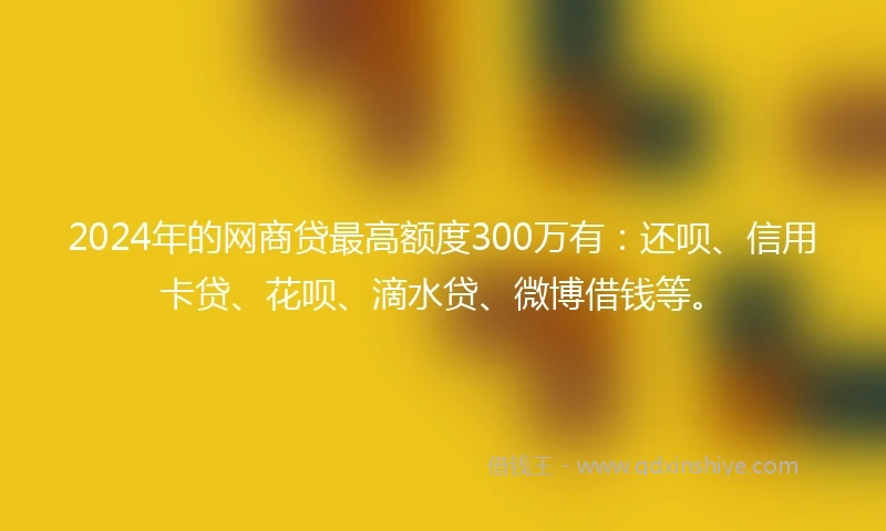 2024年的网商贷最高额度300万有：还呗、信用卡贷、花呗、滴水贷、微博借钱等。