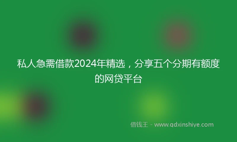 私人急需借款2024年精选，分享五个分期有额度的网贷平台