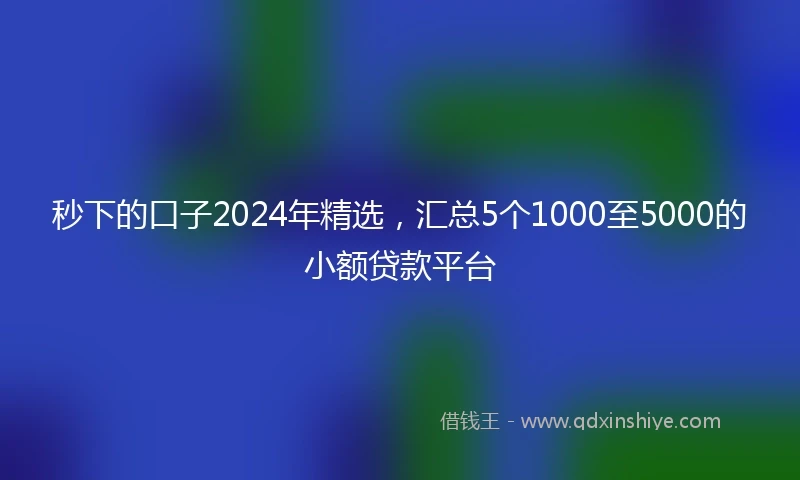 秒下的口子2024年精选，汇总5个1000至5000的小额贷款平台
