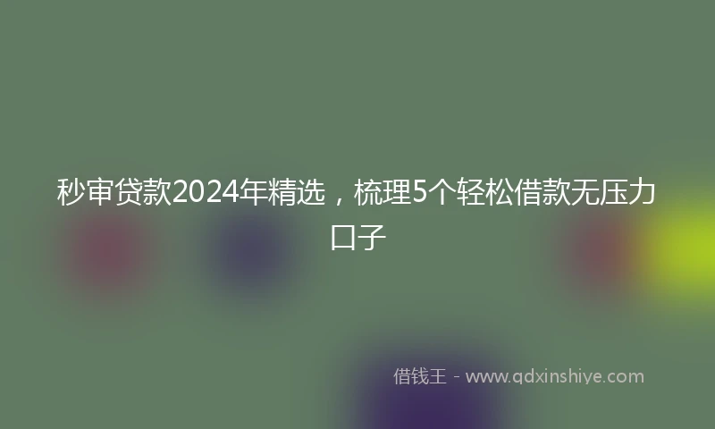 秒审贷款2024年精选，梳理5个轻松借款无压力口子