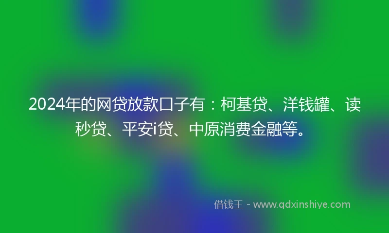 2024年的网贷放款口子有：柯基贷、洋钱罐、读秒贷、平安i贷、中原消费金融等。