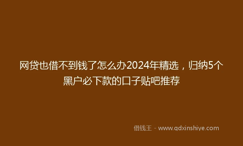网贷也借不到钱了怎么办2024年精选，归纳5个黑户必下款的口子贴吧推荐