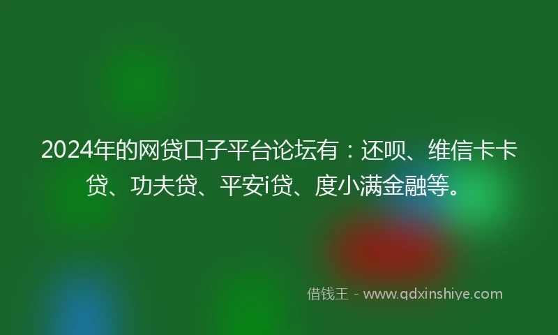 2024年的网贷口子平台论坛有：还呗、维信卡卡贷、功夫贷、平安i贷、度小满金融等。