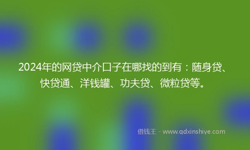 2024年的网贷中介口子在哪找的到有：随身贷、快贷通、洋钱罐、功夫贷、微粒贷等。