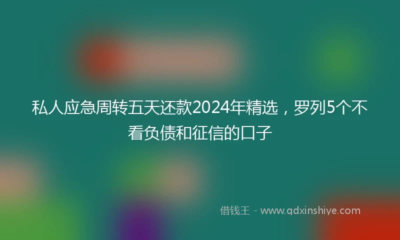私人应急周转五天还款2024年精选，罗列5个不看负债和征信的口子
