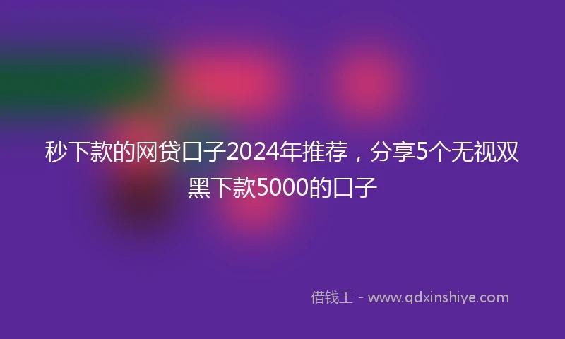 秒下款的网贷口子2024年推荐，分享5个无视双黑下款5000的口子