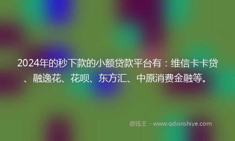 2024年的秒下款的小额贷款平台有：维信卡卡贷、融逸花、花呗、东方汇、中原消费金融等。