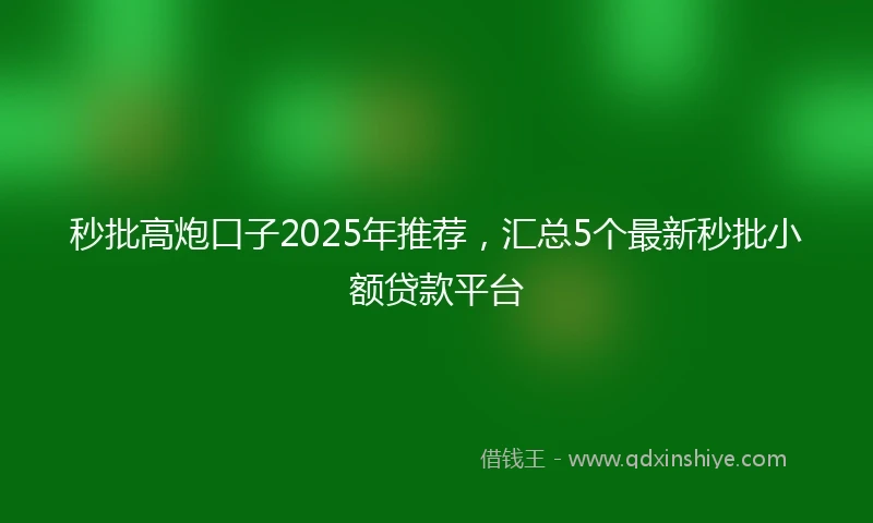 秒批高炮口子2025年推荐，汇总5个最新秒批小额贷款平台