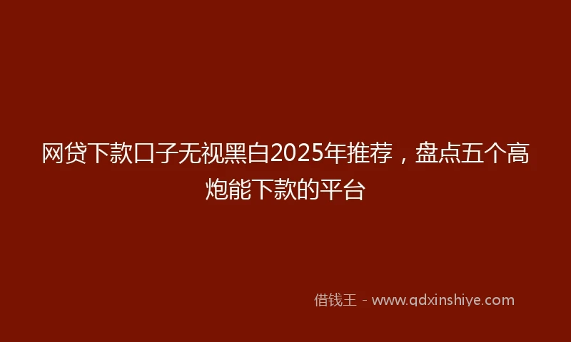 网贷下款口子无视黑白2025年推荐，盘点五个高炮能下款的平台
