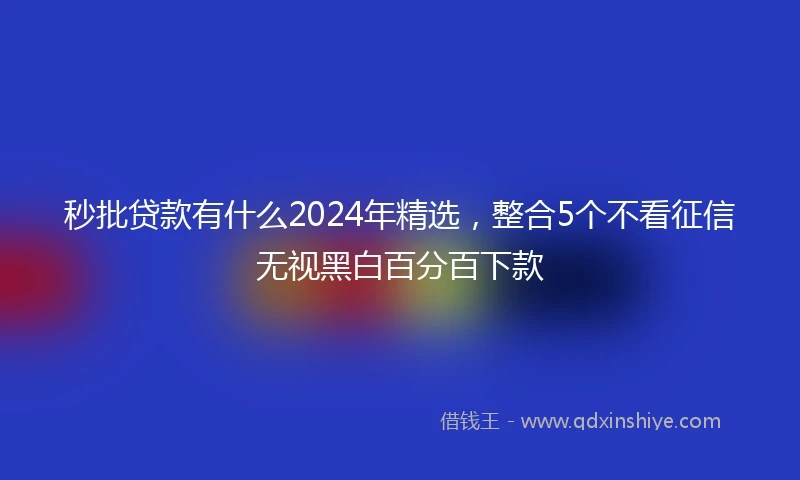秒批贷款有什么2024年精选，整合5个不看征信无视黑白百分百下款