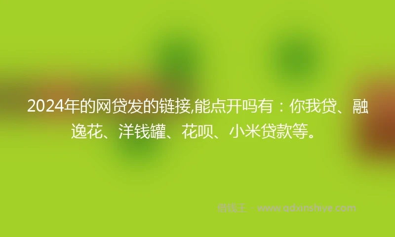 2024年的网贷发的链接,能点开吗有:你我贷、融逸花、洋钱罐、花呗、小米贷款等。