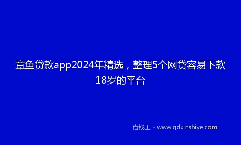 章鱼贷款app2024年精选，整理5个网贷容易下款18岁的平台