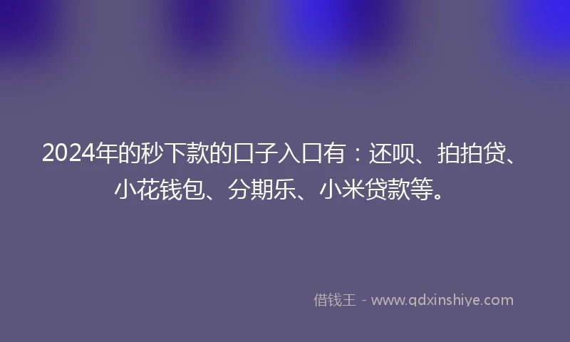 2024年的秒下款的口子入口有：还呗、拍拍贷、小花钱包、分期乐、小米贷款等。