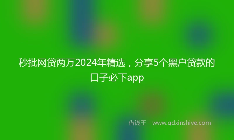 秒批网贷两万2024年精选，分享5个黑户贷款的口子必下app