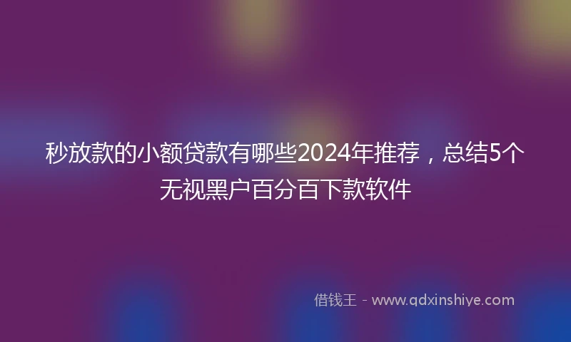 秒放款的小额贷款有哪些2024年推荐，总结5个无视黑户百分百下款软件