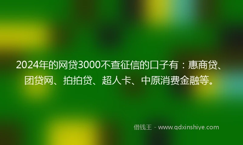 2024年的网贷3000不查征信的口子有：惠商贷、团贷网、拍拍贷、超人卡、中原消费金融等。