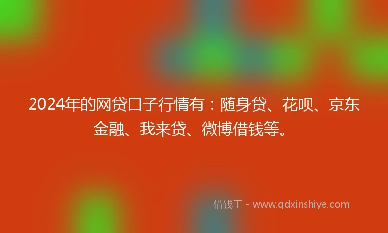 2024年的网贷口子行情有：随身贷、花呗、京东金融、我来贷、微博借钱等。