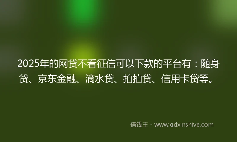 2025年的网贷不看征信可以下款的平台有：随身贷、京东金融、滴水贷、拍拍贷、信用卡贷等。