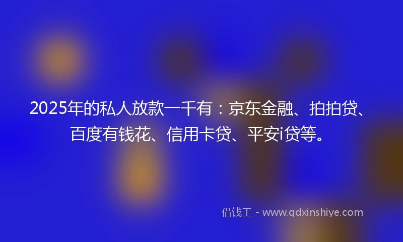 2025年的私人放款一千有：京东金融、拍拍贷、百度有钱花、信用卡贷、平安i贷等。