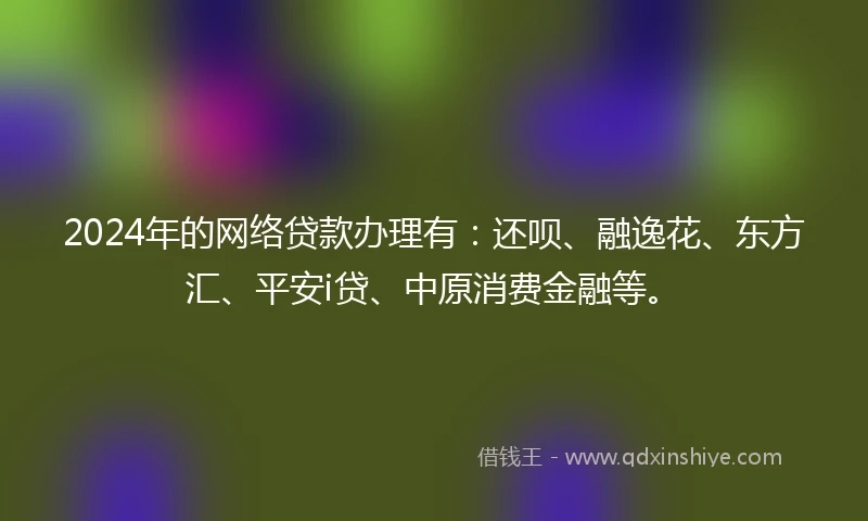 2024年的网络贷款办理有：还呗、融逸花、东方汇、平安i贷、中原消费金融等。
