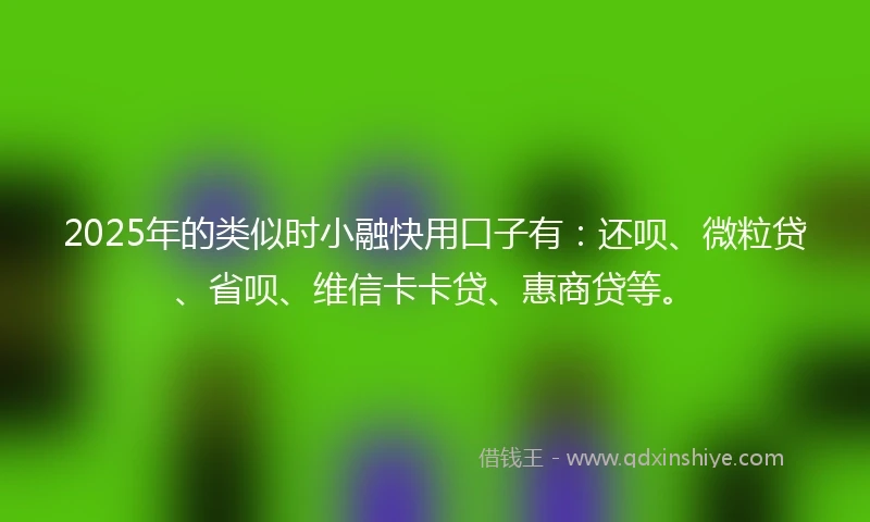 2025年的类似时小融快用口子有：还呗、微粒贷、省呗、维信卡卡贷、惠商贷等。
