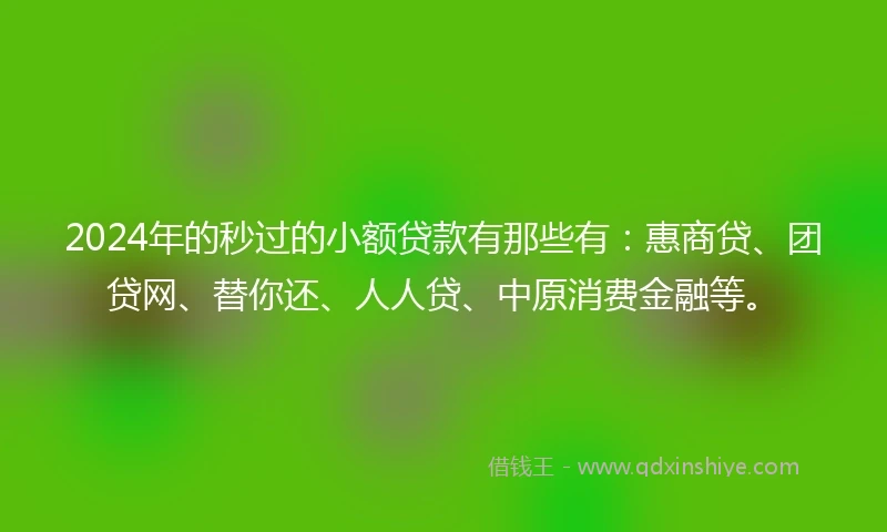 2024年的秒过的小额贷款有那些有：惠商贷、团贷网、替你还、人人贷、中原消费金融等。