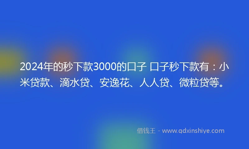 2024年的秒下款3000的口子 口子秒下款有：小米贷款、滴水贷、安逸花、人人贷、微粒贷等。