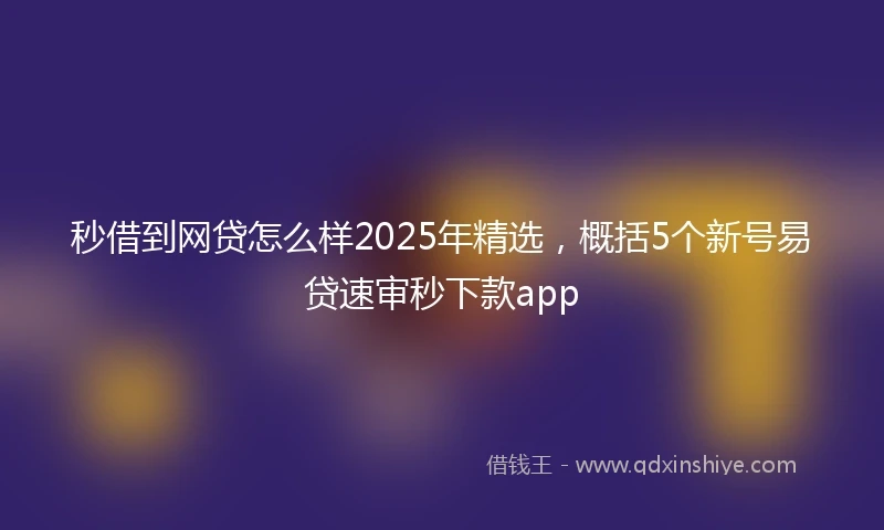 秒借到网贷怎么样2025年精选，概括5个新号易贷速审秒下款app