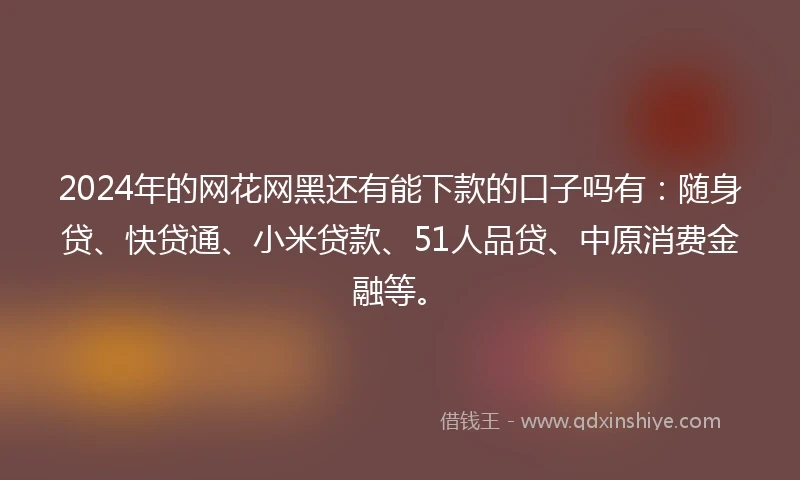 2024年的网花网黑还有能下款的口子吗有：随身贷、快贷通、小米贷款、51人品贷、中原消费金融等。